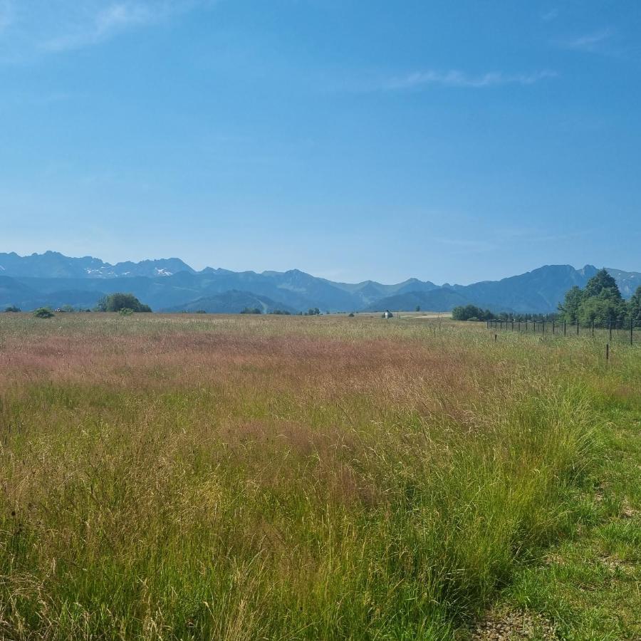 Domek Zakopane Tatrzanski Kacik Apartzakop Εξωτερικό φωτογραφία